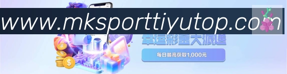 未来规划